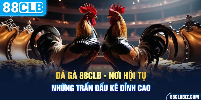 Đá gà - Nơi quy tụ các hình thức chọi kê danh tiếng